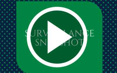 Surveillance Snapshot! Quarter 3
